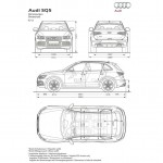 Audi-SQ5-5